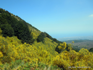 Serra del Salifizio